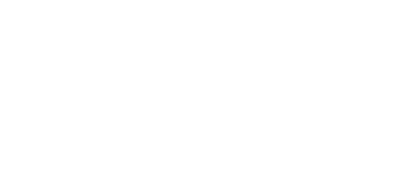 exion logotyp